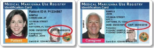 How to get Medical Marijuana Card in Florida - DrPatel